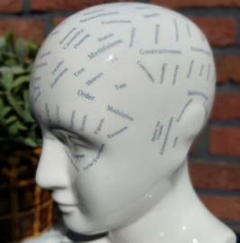 Vintage Phrenology buste/hoofd 'by L.N. Fowler' in keramiek