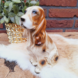Vintage beeldje hond 'Cocker spaniel' keramiek, 17 cm.