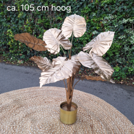 Te huur: Plant goud in gouden pot