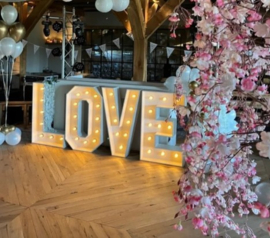 LOVE Lichtletters XL