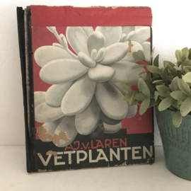 Vintage boek "vetplanten"door A.J. van Laren