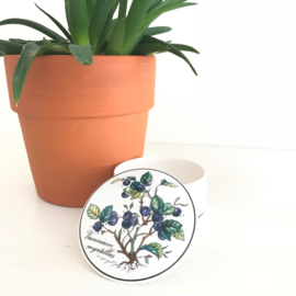 Vintage schaaltje met deksel , Villeroy en Boch, Botanica, 8 cm