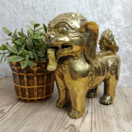 Vintage zware koperen/ brass 'Foo Dog'