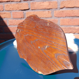 Vintage opgezette Hertenkop(ree) voor aan de wand