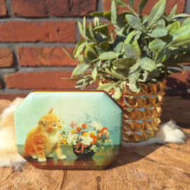 Vintage blikje met afbeelding van een jong poesje bij een vaasje bloemen