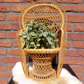 Vintage rotan Pauwstoeltje voor pop of plant