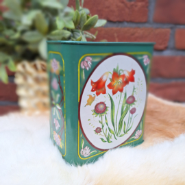 Vintage spaarpot blik planten en bloemen, groen