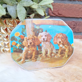 Vintage blikje met afbeelding van een stel Cocker Spaniel puppies