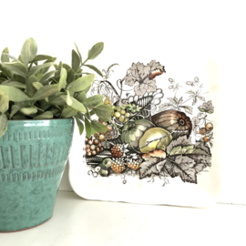 Vintage schaal Mason's Ironstone 'frut Basket'