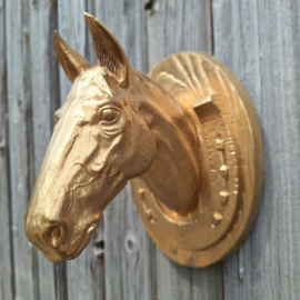 Te huur:  Kekke paardenkop voor aan de wand