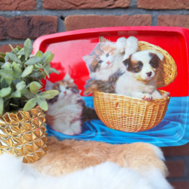 Vintage blikken dienblad met afbeelding van jonge poesjes/kittens & puppy
