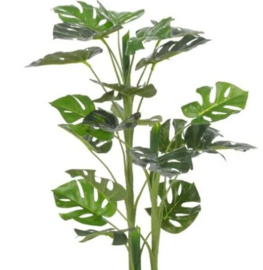 Te huur: Kunstplanten divers