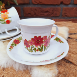 Vintage kop en schotel 21.2, Roze,  Mitterteich Bavaria