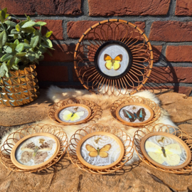 Vintage bamboe onderzetters met échte vlinders en bijpassende schaal