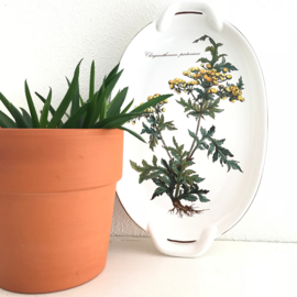 Vintage schaaltje , Villeroy en Boch, Botanica, 16 x 26 cm