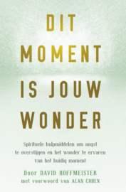 David Hoffmeister - Dit moment is jouw wonder