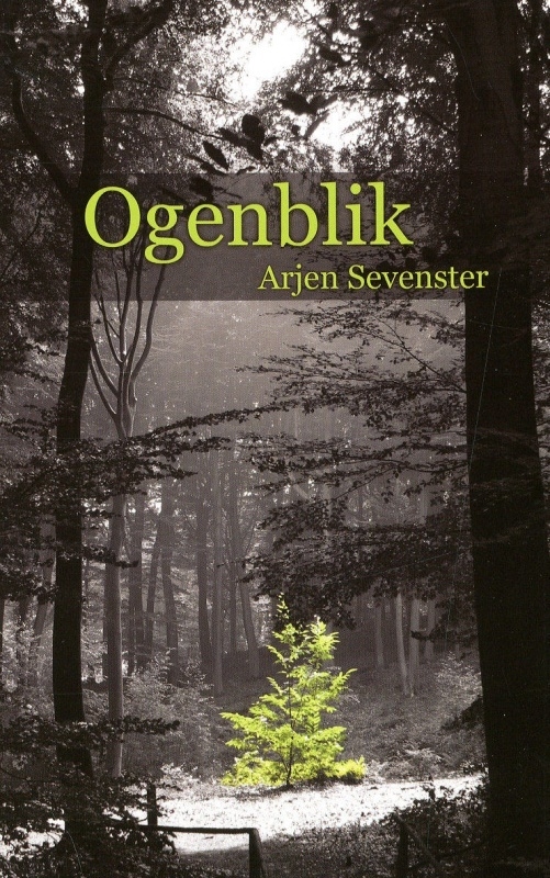 Arjen Sevenster  - Ogenblik
