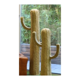 CACTUS 70 x 40 x 17