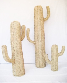 CACTUS 53 X 30 X 14