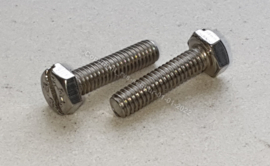 Zeskantbout Rvs M4x16 met zaaggleuf