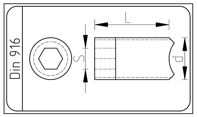 RVS Stelschroef met binnenzeskant M8x10  Din 916.