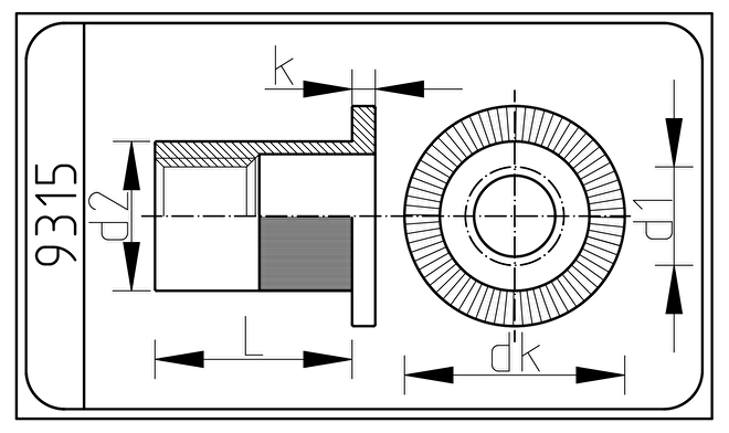 Din 9315.RVS Blindklinkmoer