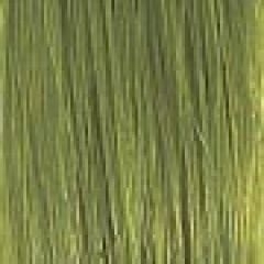 Extension kleur acid green - groen