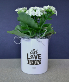 BLOEMPOTJE -  Let love grow