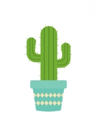 A6 | Cactus 2