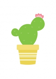 A6 | Cactus 3