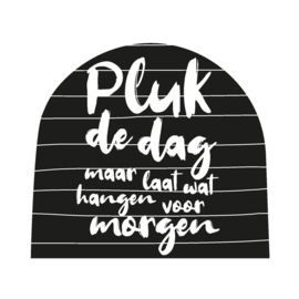 Schudbol pluk de dag