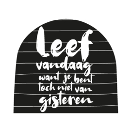 Schudbol Leef vandaag