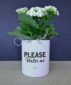 BLOEMPOTJE -  Please water me