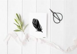 A6 | Feather