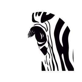 Schudbol zebra