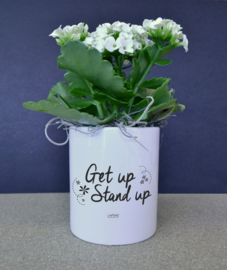 BLOEMPOTJE -  Get up Stand up