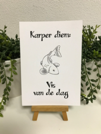 A6 | Karper Diem: Vis van de dag