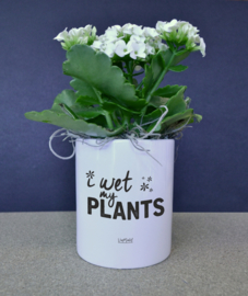 BLOEMPOTJE -  I wet my plants