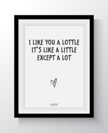 I like you a lottle