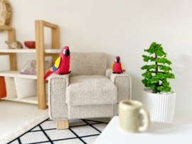 Living room | animals | big red parrot