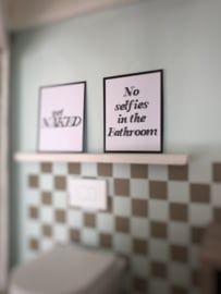 Bathroom | Posters | No Selfies..