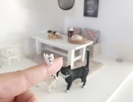 Living room | Little Birdie | white parakeet