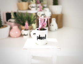 Lampen & Planten | in een kopje | roze