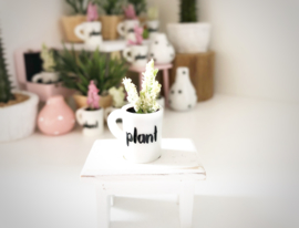 Living room  | plant in a cup | white