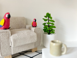 Living room | animals | little red parrot