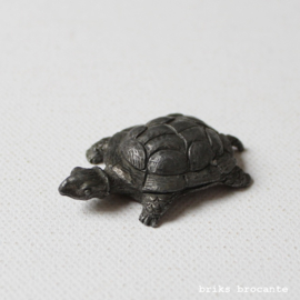 miniatuur schildpad