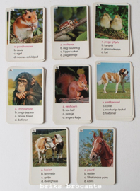 kwartet dieren