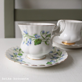 set kop en schotels - Royal Albert & Richmond