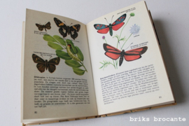 insekten van europa