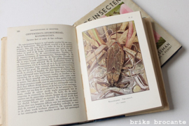 De insecten - deel 1 & 2